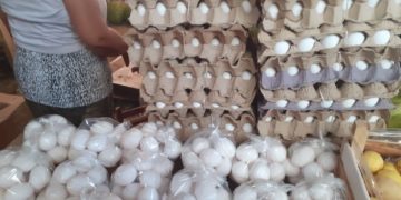 Esperan comerciantes escasez de huevo por Covid-19