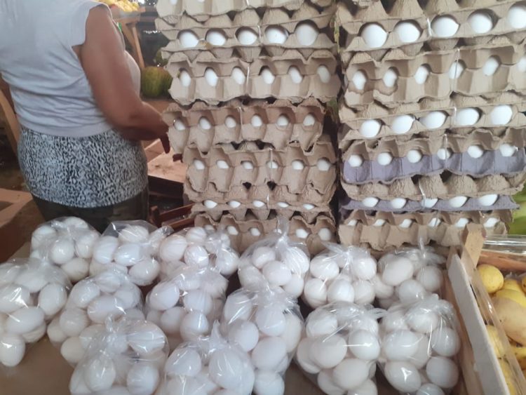 Esperan comerciantes escasez de huevo por Covid-19