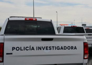 Toro mata de una patada a jornalero