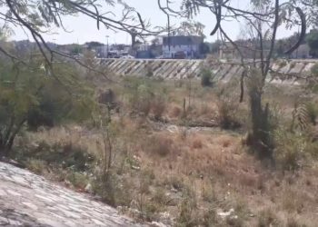 Rio San Marcos sigue siendo un basurero clandestino en Victoria