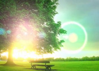 El árbol de los problemas