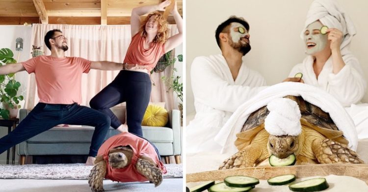 Pareja combina atuendos con su tortuga