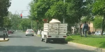 Hay más agua para jardines que para la población victorense