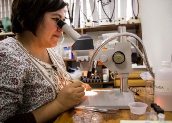 Colabora UAT en estudios para clasificar “ácaros” en Tamaulipas