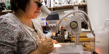 Colabora UAT en estudios para clasificar “ácaros” en Tamaulipas