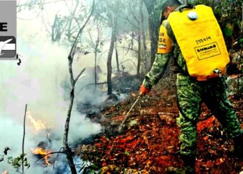 Ejército Mexicano se encuentran aplicando el “PLAN DN-III-E” en su “FASE DE AUXILIO”