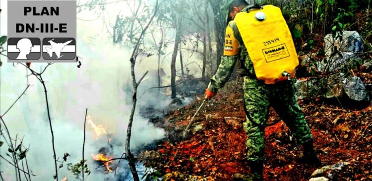 Ejército Mexicano se encuentran aplicando el “PLAN DN-III-E” en su “FASE DE AUXILIO”