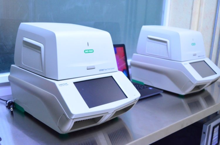 Registra  Victoria 16 nuevos casos positivos a COVID19