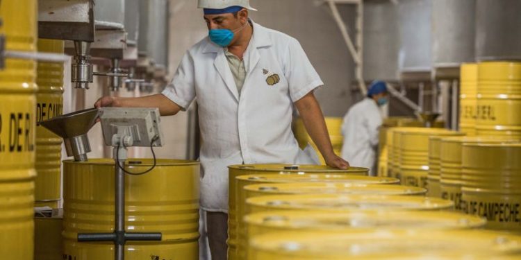 Emiten Norma Oficial para apicultura e impedir fraude al consumidor de miel