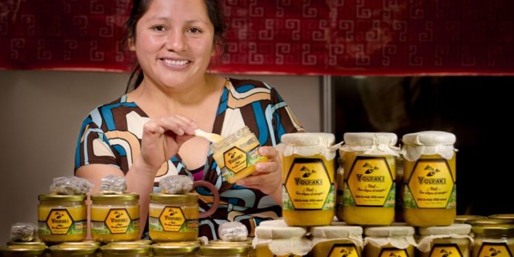 Emiten Norma Oficial para apicultura e impedir fraude al consumidor de miel