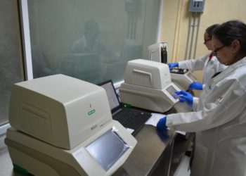 Confirman 18 casos de coronavirus  en Tamaulipas; suman 482 y 20 muertos