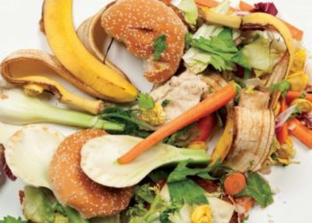 Elevado desperdicio de alimentos en México y el mundo