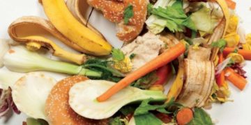 Elevado desperdicio de alimentos en México y el mundo