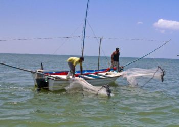 Definen fechas de veda de camarón para el Golfo de México y Mar Caribe