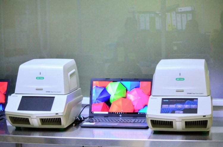 Aumentan muerte por Coronavirus en Tamaulipas