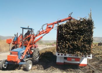 Se suman ingenios y alcoholeras a  elaborar alcohol y gel sanitizante