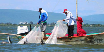 Dan continuidad a las actividades productivas de pesca y acuacultura nacional