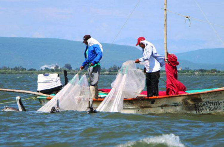 Dan continuidad a las actividades productivas de pesca y acuacultura nacional
