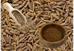 Desarrollan plataforma que permite detectar signos de COVID-19