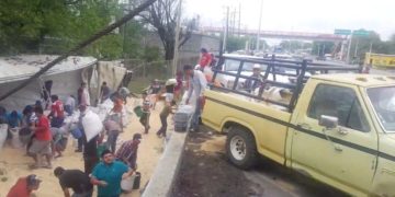 Vuelca tráiler con soya en El Barretal y ejidatarios hacen rapiña