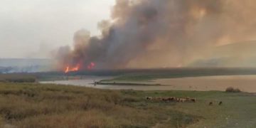 Racha de incendios forestales afectan a Tamaulipas