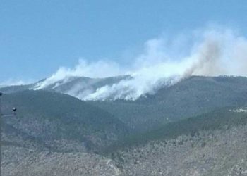 Controlan incendio forestal en Jaumave