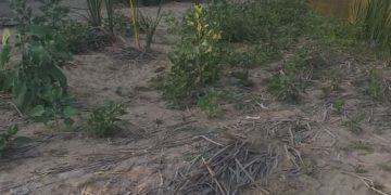 Se ahoga jovencito en río de Tula