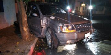 Chofer abandona camioneta tras chocarla con árbol