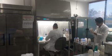 Suman 52 casos de Coronavirus en Tamaulipas