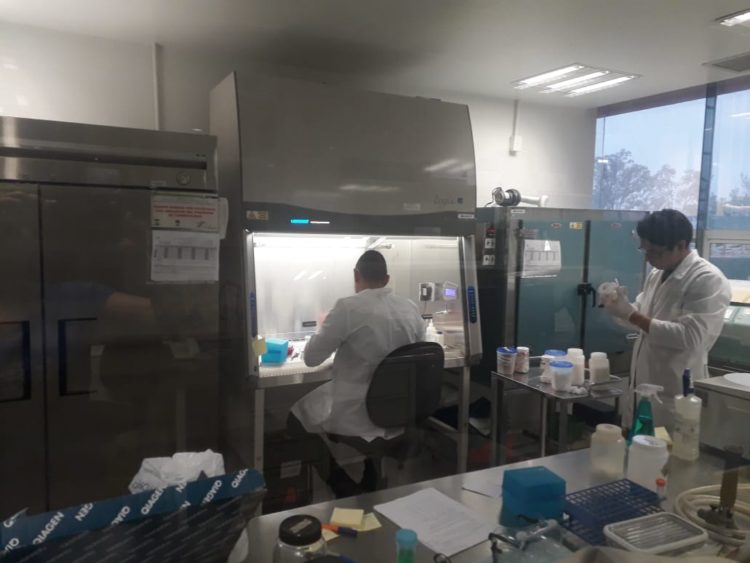 Suman 52 casos de Coronavirus en Tamaulipas