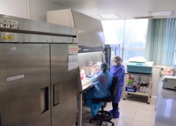 Analiza Tamaulipas 15 casos sospechosos a COVID-19; 4 en Victoria