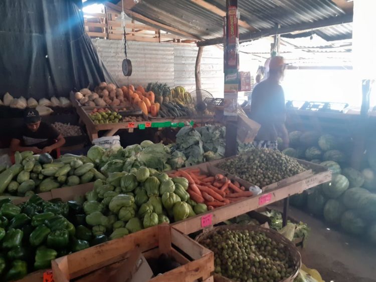 Abrirán fruterías de Victoria durante días Santos