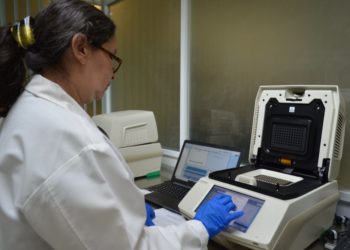 Suman 382 casos de Covid-19 en Tamaulipas, 16 muertos