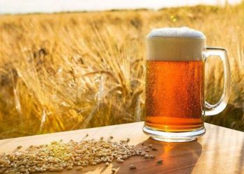 Aclara Sader que no hay autorización para cerveceras