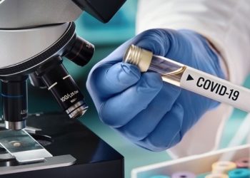 13 nuevos casos positivos a COVID-19 en Tamaulipas