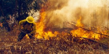 Conafort reporta 50 incendios forestales activos en 18 estados del país