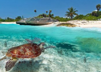 Lugares turísticos en México: planifica tus próximas vacaciones