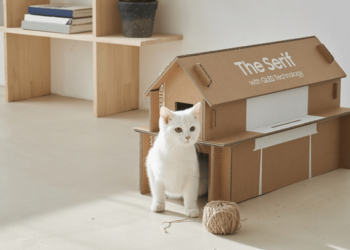 Crean cajas de los televisores podrán convertirse en muebles