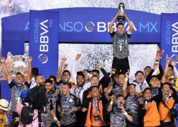 Molestos los Alebrijes