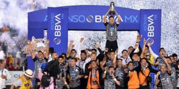 Molestos los Alebrijes