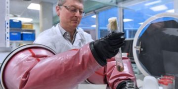 La vacuna BCG que se utiliza en México, ¿podría ser la cura para el coronavirus?