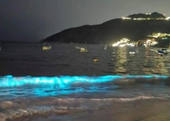 Playa de Acapulco impresiona con efecto de bioluminiscencia
