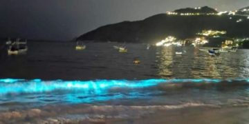 Playa de Acapulco impresiona con efecto de bioluminiscencia