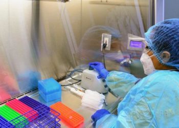 Tamaulipas reporta 14 muertes por COVID-19