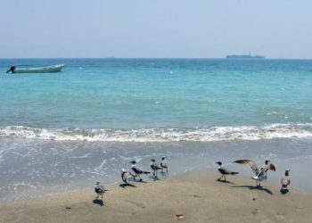 Playas de Veracruz lucen hermosas limpias y con tonos azul turquesa