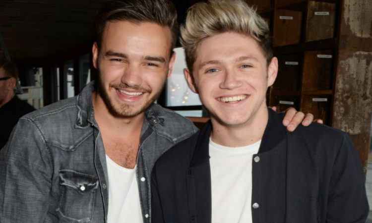 Liam Payne y Niall Horan se reúnen en transmisión en vivo