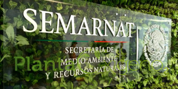 Recomienda Semarnat un uso razonable de productos químicos para la limpieza