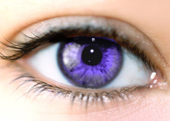 ¿Existen los ojos color violeta?
