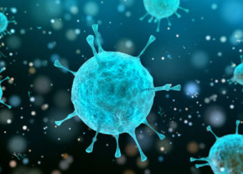 ¿Cuál es la diferencia entre un virus y una bacteria?