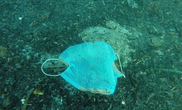 Mascarillas y guantes ensucian el lecho del mar Mediterráneo